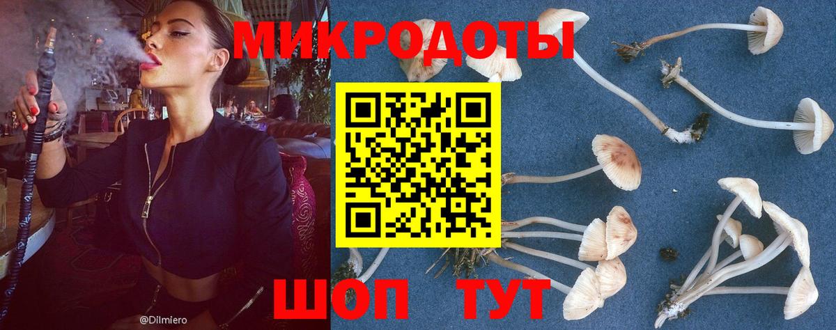 Псилоцибиновые грибы GOLDEN TEACHER Бор