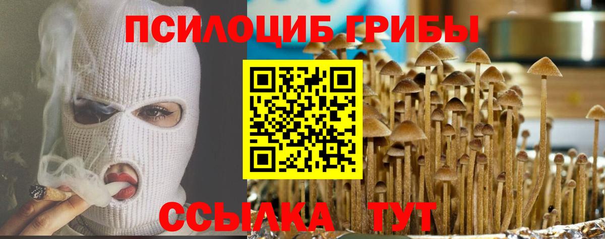 Псилоцибиновые грибы Psilocybine cubensis  Галлюциногенные грибы мицелий  Вход с VPN  Бор 
